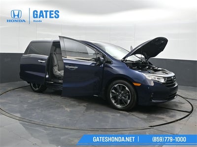 2024 Honda Odyssey Elite
