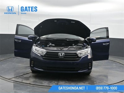 2024 Honda Odyssey Elite