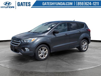 2019 Ford Escape SE