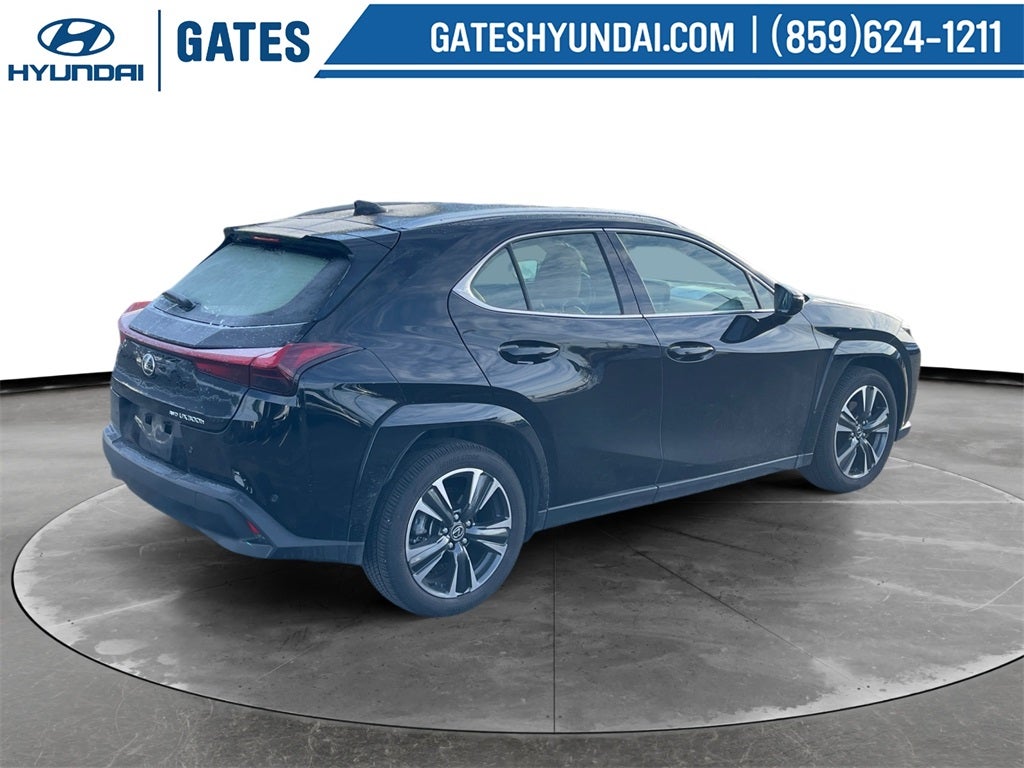 2025 Lexus UX 300h Premium
