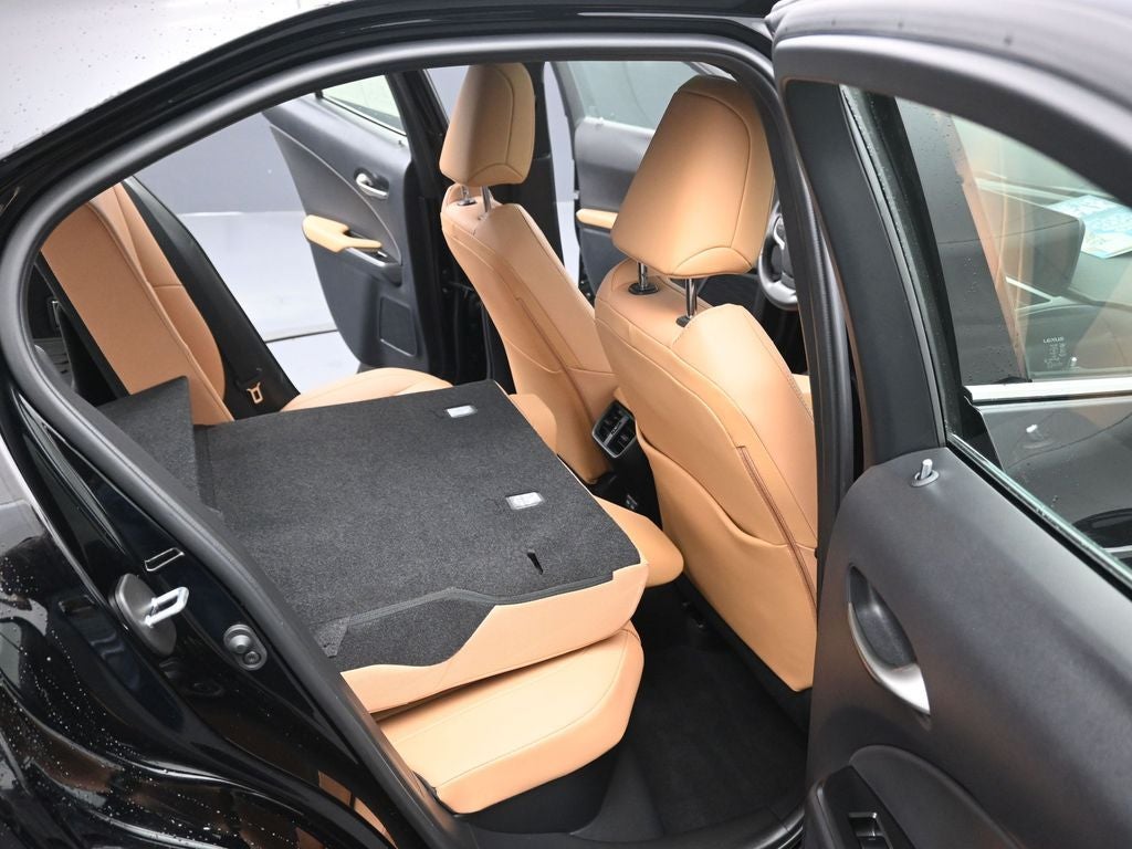 2025 Lexus UX 300h Premium