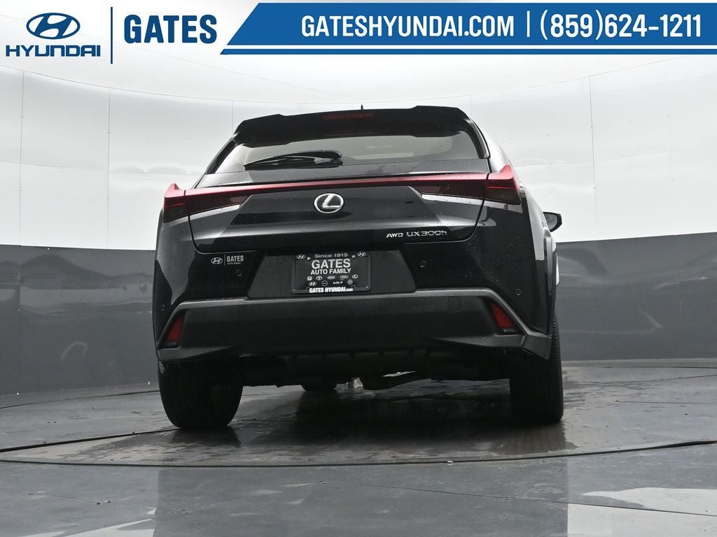 2025 Lexus UX 300h Premium