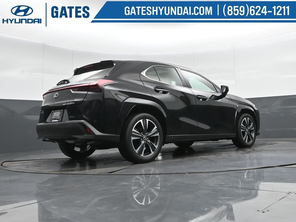2025 Lexus UX 300h Premium