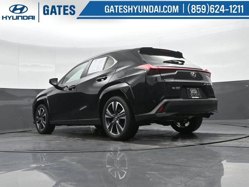 2025 Lexus UX 300h Premium