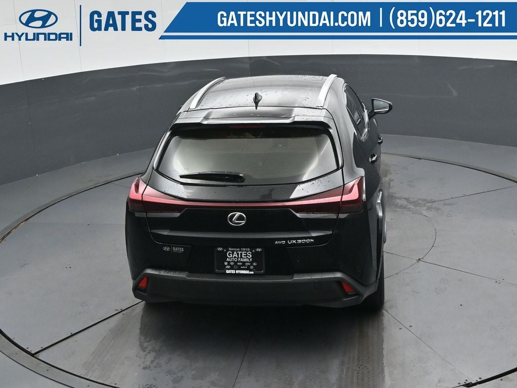 2025 Lexus UX 300h Premium