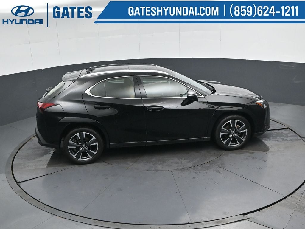 2025 Lexus UX 300h Premium
