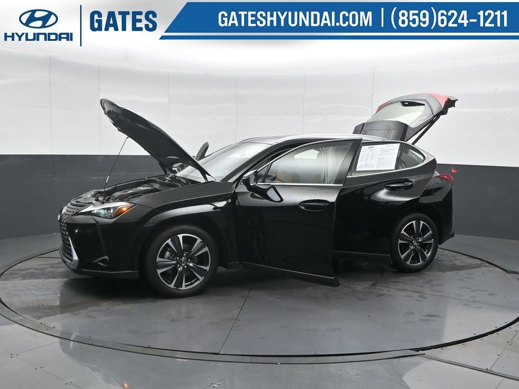 2025 Lexus UX 300h Premium