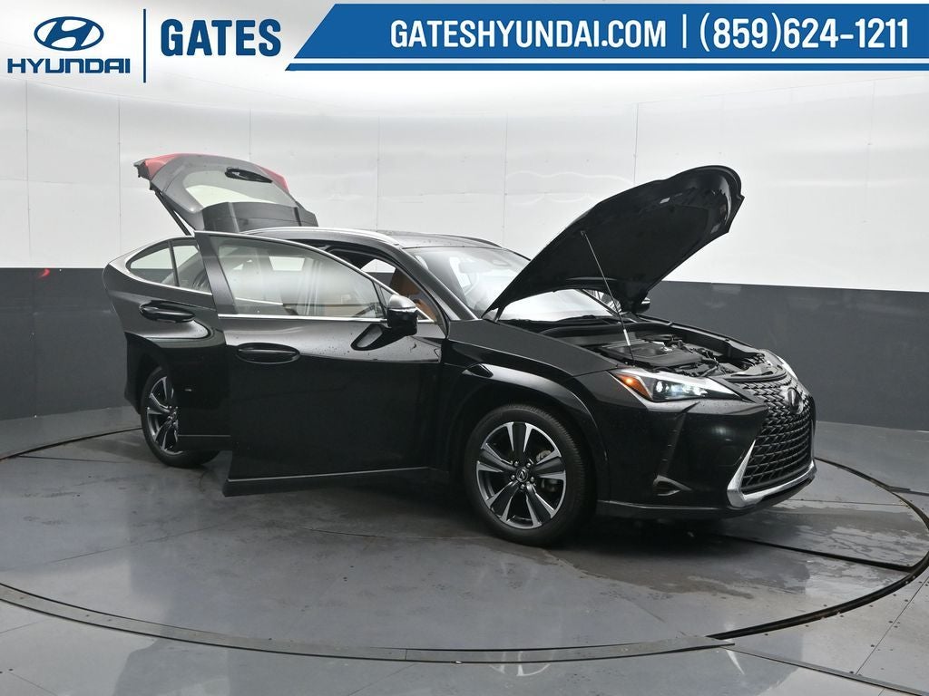 2025 Lexus UX 300h Premium