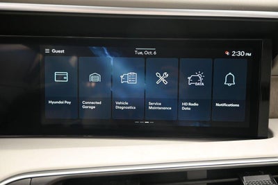 2027 Hyundai PALISADE HYBRID SEL 7 Passenger