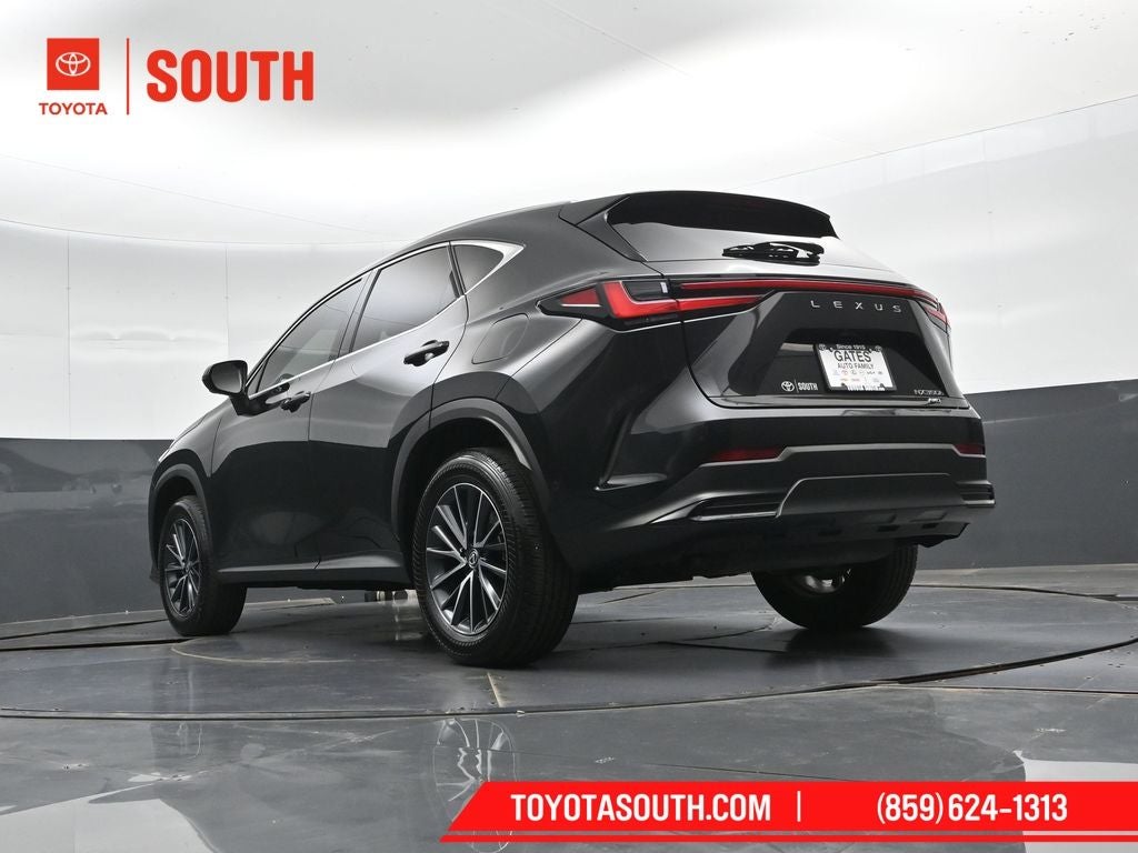 2024 Lexus NX 350h Luxury