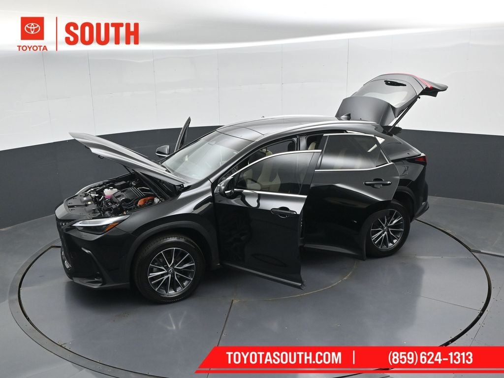 2024 Lexus NX 350h Luxury