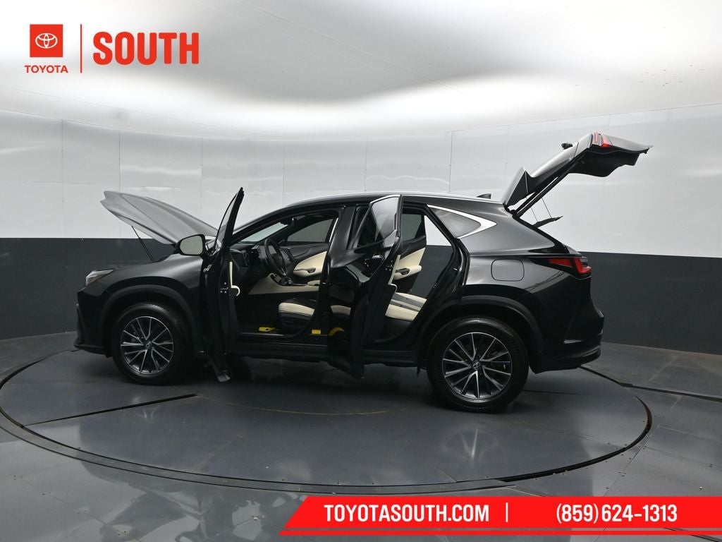 2024 Lexus NX 350h Luxury