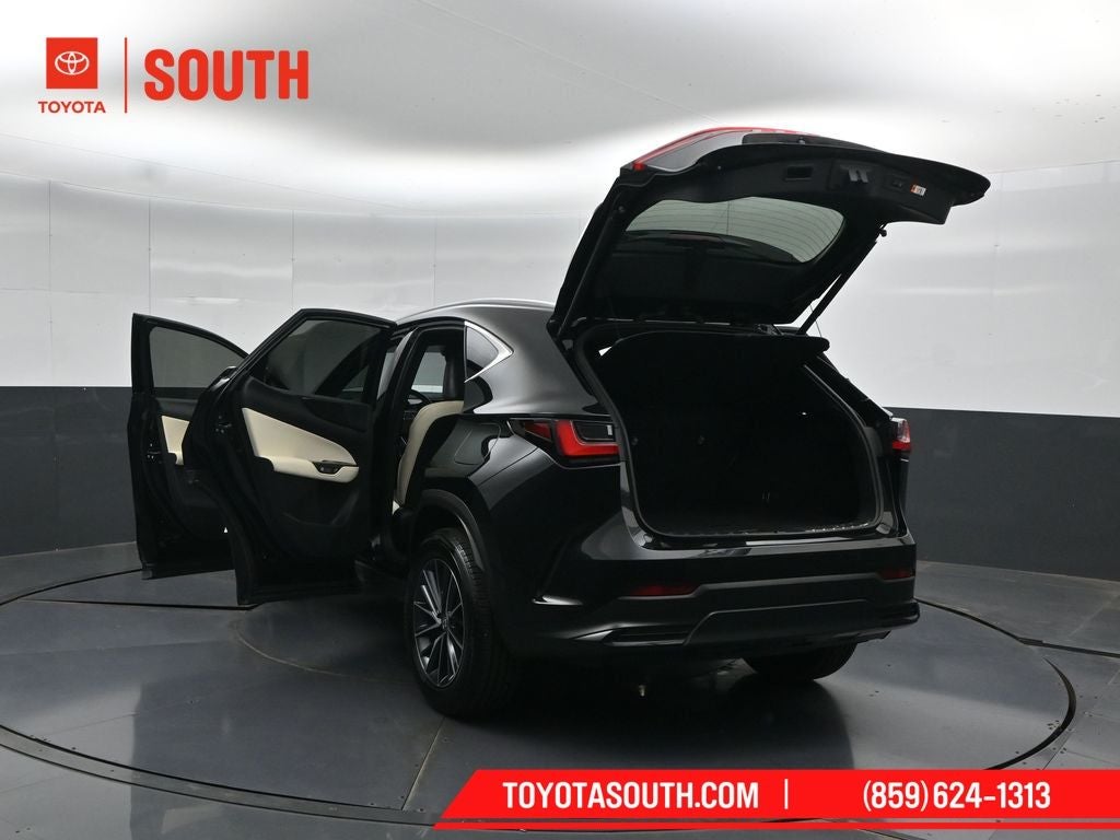 2024 Lexus NX 350h Luxury