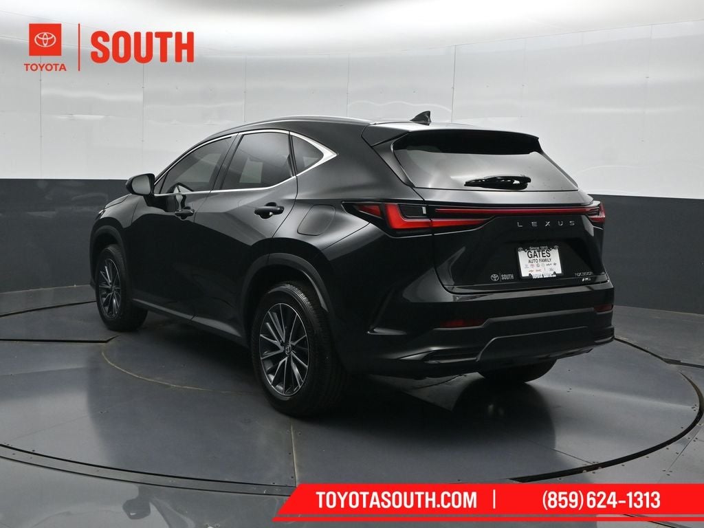 2024 Lexus NX 350h Luxury