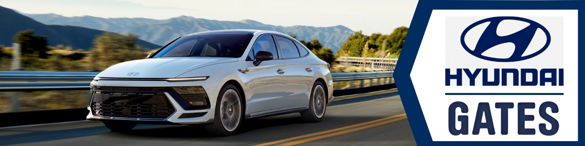 Used Cars Lexington, KY